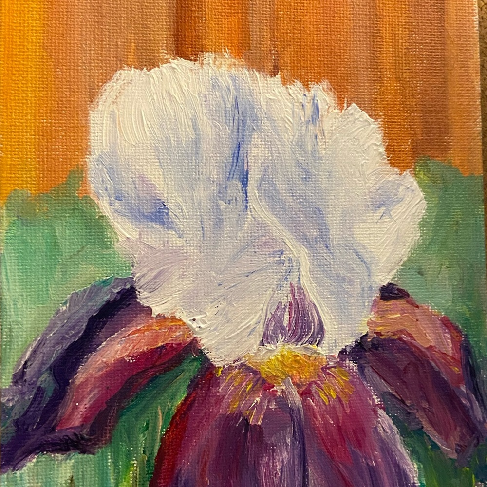 5x7 oil iris painting on canvas board